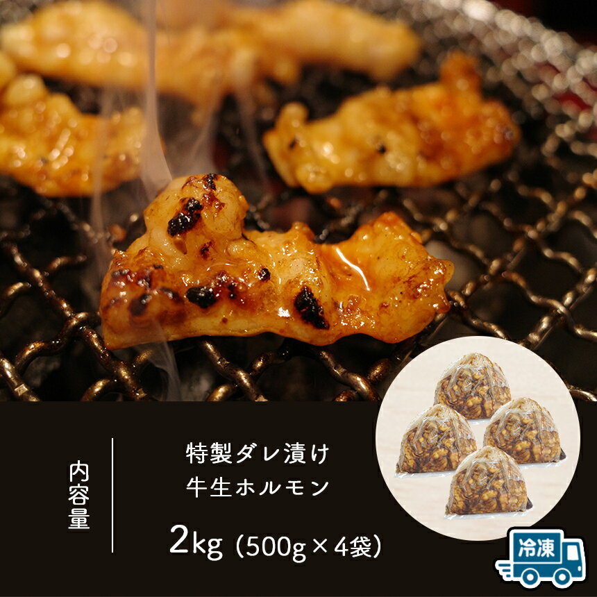 【ふるさと納税】特製ダレ漬け 牛生ホルモン 2kg ｜ ホルモン もつ鍋 鍋 焼肉 バーベキュー モツ 小腸 ホルモン 焼き 特製ダレ 味付き 名物 ソウルフード 美祢市 山口県