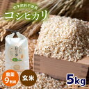 24位! 口コミ数「1件」評価「5」 農薬9割減 ・ 化学肥料不使用 コシヒカリ(玄米) 5kg ｜ 有機農産物認証推進協会認定 玄米 お米 米 こしひかり 農薬減 美祢市 山･･･ 