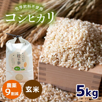 農薬9割減 ・ 化学肥料不使用 コシヒカリ(玄米) 5kg ｜ 有機農産物認証推進協会認定 玄米 お米 米 こしひかり 農薬減 美祢市 山口県 秋芳 カルスト台地 湧き水 ミネラル 結び家 くらとも