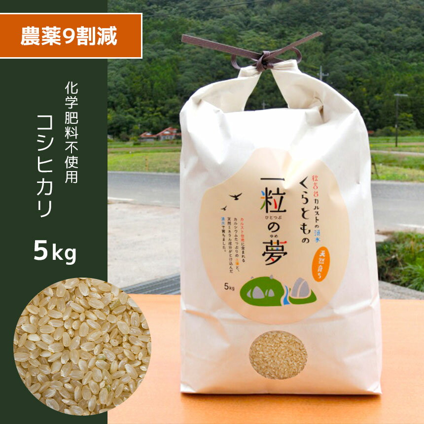 【ふるさと納税】 農薬9割減 ・ 化学肥料不使用 コシヒカリ(玄米) 5kg ｜ 有機農産物認証推進協会認定 玄米 お米 米 こしひかり 農薬減 美祢市 山口県 秋芳 カルスト台地 湧き水 ミネラル 結び家 くらとも