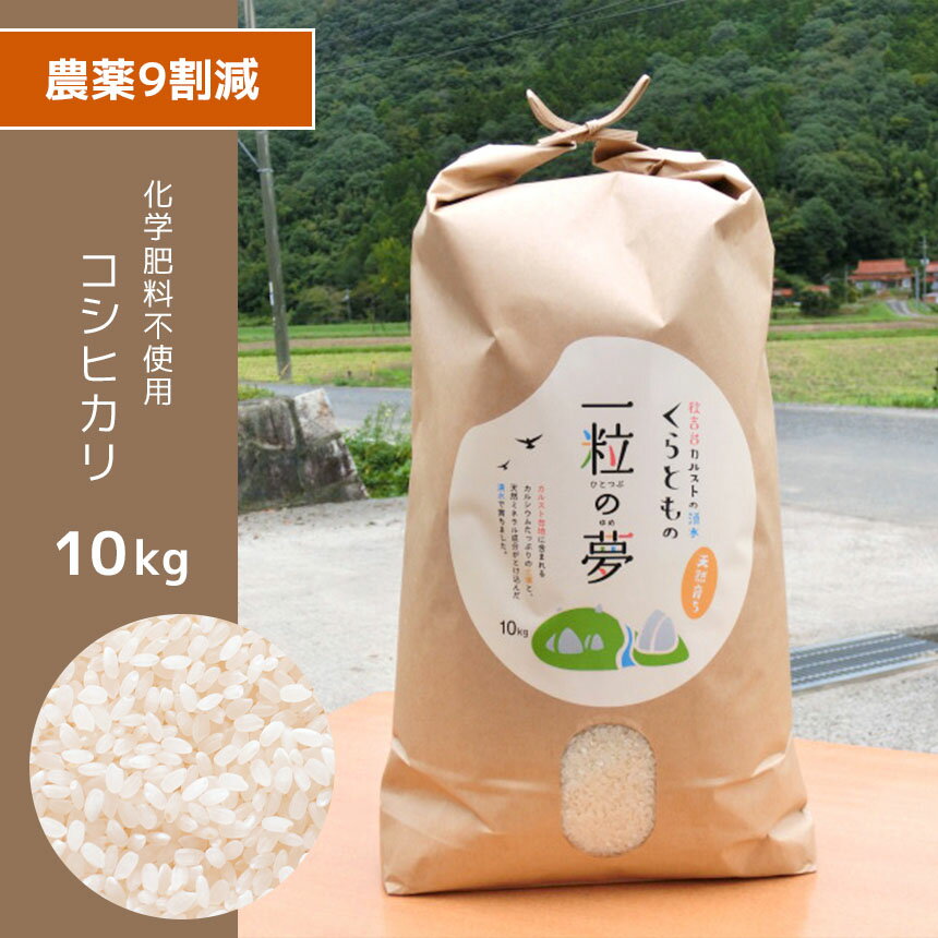 【ふるさと納税】 農薬9割減 ・ 化学肥料不使用 コシヒカリ 10kg ｜ 有機農産物認証推進協会認定 精米 お米 米 こしひかり 農薬減 美祢市 山口県 秋芳 カルスト台地 湧き水 ミネラル 結び家 くらとも