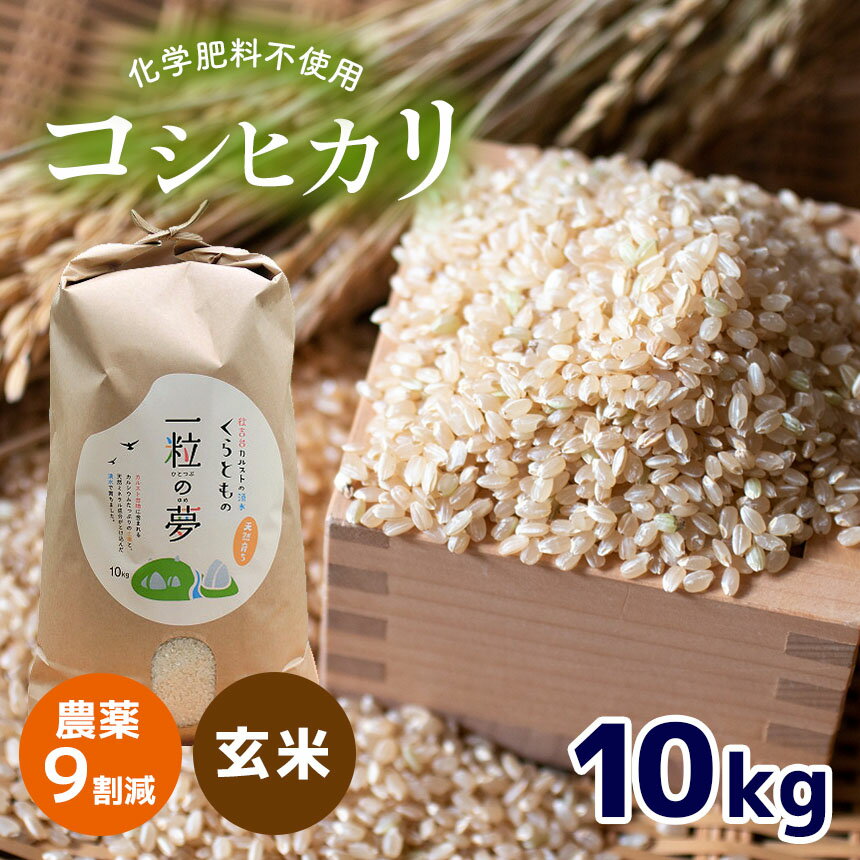 【ふるさと納税】 農薬9割減 ・ 化学肥料不使用 コシヒカリ(玄米) 10kg ｜ 有機農産物認証推進協会認定 玄米 お米 米 こしひかり 農薬減 美祢市 山口県 秋芳 カルスト台地 湧き水 ミネラル 結び家 くらとも