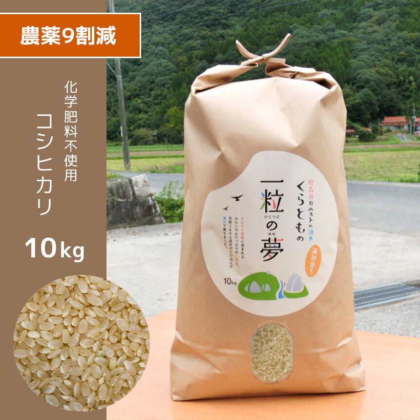 【ふるさと納税】 農薬9割減 ・ 化学肥料不使用 コシヒカリ(玄米) 10kg ｜ 有機農産物認証推進協会認定 玄米 お米 米 こしひかり 農薬減 美祢市 山口県 秋芳 カルスト台地 湧き水 ミネラル 結び家 くらとも