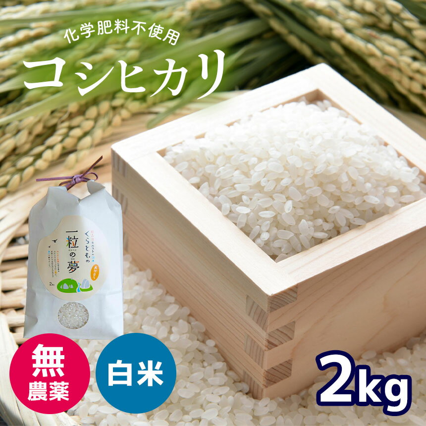 【ふるさと納税】 無農薬 ・ 化学肥料不使用 コシヒカリ 2kg ＜発送期間：10月中旬以降＞ ｜ 有機農産物認証推進協会認定 精米 お米 米 こしひかり 無農薬 美祢市 美祢 山口県 秋芳 カルスト台…