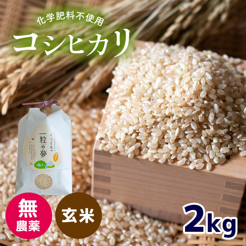 【ふるさと納税】 無農薬 ・ 化学肥料不使用 コシヒカリ(玄米) 2kg ＜発送期間：10月中旬以降＞ ｜ 有機農産物認証推進協会認定 玄米 お米 米 こしひかり 無農薬 美祢市 山口県 秋芳 カルスト台地 湧き水 ミネラル 結び家 くらとも