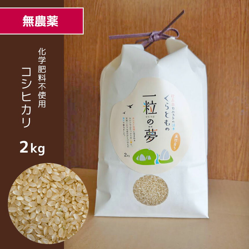 【ふるさと納税】 無農薬 ・ 化学肥料不使用 コシヒカリ(玄米) 2kg ＜発送期間：10月中旬以降＞ ｜ 有機農産物認証推進協会認定 玄米 お米 米 こしひかり 無農薬 美祢市 山口県 秋芳 カルスト台地 湧き水 ミネラル 結び家 くらとも