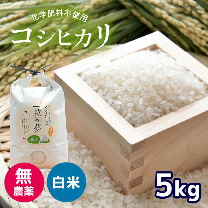 無農薬 ・ 化学肥料不使用 コシヒカリ 5kg ＜発送期間：10月中旬以降＞ ｜ 有機農産物認証推進協会認定 精米 お米 米 こしひかり 美祢市 山口県 秋芳 カルスト台地 湧き水 ミネラル 結び家 くらとも