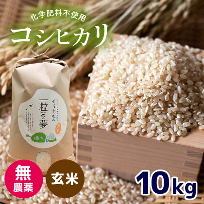 無農薬 ・ 化学肥料不使用 コシヒカリ(玄米) 10kg ＜発送期間：10月中旬以降＞ ｜ 有機農産物認証推進協会認定 玄米 お米 米 こしひかり 美祢市 山口県 秋芳 カルスト台地 湧き水 ミネラル 結び家 くらとも