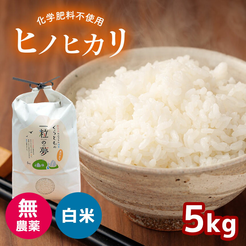 【ふるさと納税】 無農薬・化学肥料不使用 ヒノヒカリ 5kg ｜ 精米 お米 米 ひのひかり 無農薬 化学肥...