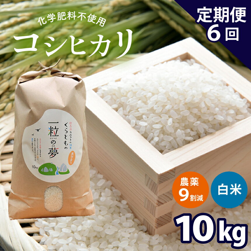 【ふるさと納税】【定期便6回】 農薬9割減・化学肥料不使用 コシヒカリ 10kg×6(1ヵ月毎×6回)｜ 有機農産物認証推進協会認定 精米 お米 米 こしひかり 農薬減 美祢市 山口県 秋芳 カルスト台地 湧き水 ミネラル 結び家 くらとも