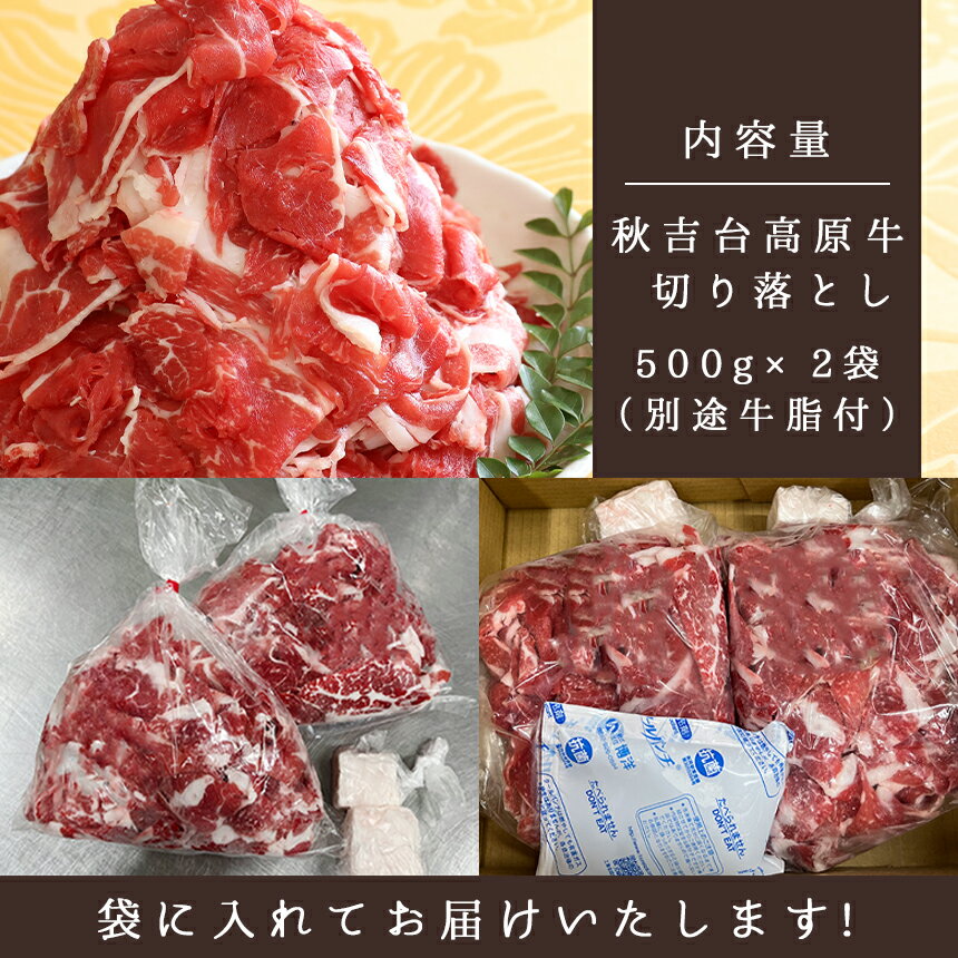 【ふるさと納税】 【 定期便 】 秋吉台高原牛 切り落とし 合計 1kg ( 約500g × 2 ) ｜ 3回 6回 12回 1000g 数量限定 お肉 牛 肉 にく 切り落とし 3kg 6kg 12kg 食べ物 長州 ブランド 限定 国産 山口 県 美祢市 秋吉台 高原 お礼の品 返礼品 送料無料