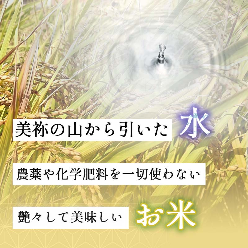 【ふるさと納税】みね食育こども米 玄米 (750g 2kg 5kg 10kg 30kg)　山口県 山口 楽天ふるさと ふるさと 納税 楽天ふるさとの納税 支援品 返礼品 支援 返礼 米 国産 玄米 食育 農薬不使用 健康 有機 ご当地 お土産 名産品 特産品 土産 美祢