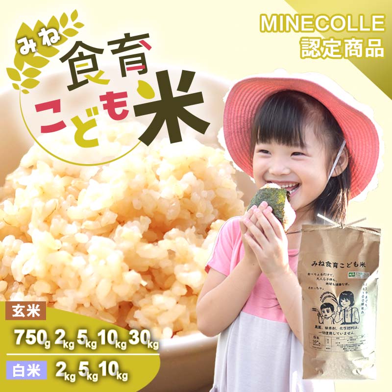 【ふるさと納税】みね食育こども米 白米 玄米 (750g 2kg 5kg 10kg 30kg)　山口県 山口 楽天ふるさと ふるさと 納税 楽天ふるさとの納税 支援品 返礼品 支援 返礼 米 国産 玄米 食育 農薬不使用 健康 有機 ご当地 お土産 名産品 特産品 土産 美祢･･･