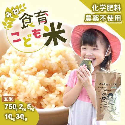 みね食育こども米 玄米 (750g 2kg 5kg 10kg 30kg)　山口県 山口 楽天ふるさと ふるさと 納税 楽天ふるさとの納税 支援品 返礼品 支援 返礼 米 国産 玄米 食育 農薬不使用 健康 有機 ご当地 お土産 名産品 特産品 土産 美祢