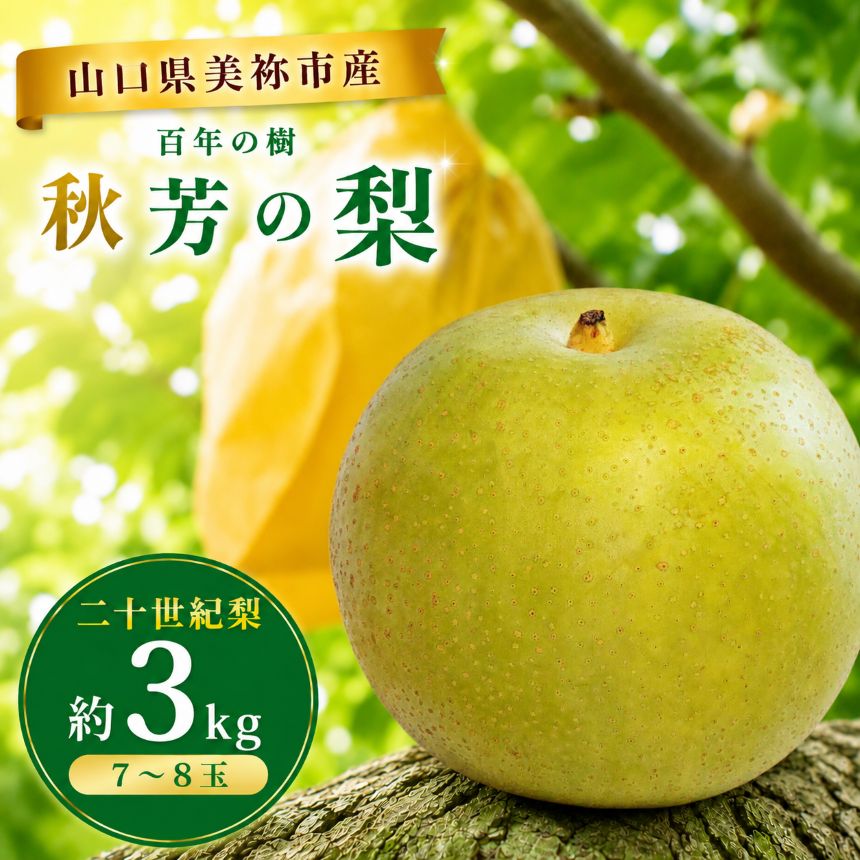 美祢市産 二十世紀梨 (秋芳の梨 百年の樹)( 約 3kg )先行予約[2026年9月上旬〜9月末頃 発送予定]| 二十世紀 なし 梨 フルーツ 百年の樹 特産品 美祢市 美祢 山口県 山口 秋芳町 秋芳 カルスト台地