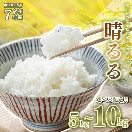 【ふるさと納税】 令和7年度産 新米 晴るる ( 白米 5kg ~ 10kg ) 先行予約 < 2025年10月中旬より順次発送予定 > | 米 精米 新米 白米 米 雑穀 お米 コメ 単一米 晴るる はるる 山口 美祢 5kg 10kg とよたファーム 【ふるさと納税】 令和7年度産 新米 晴るる ( 白米 5kg ~ 10kg ) 先行予約 < 2025年10月中旬より順次発送予定 > | 米 精米 新米 白米 米 雑穀 お米 コメ 単一米 晴るる はるる 山口 美祢 5kg 10kg とよたファーム