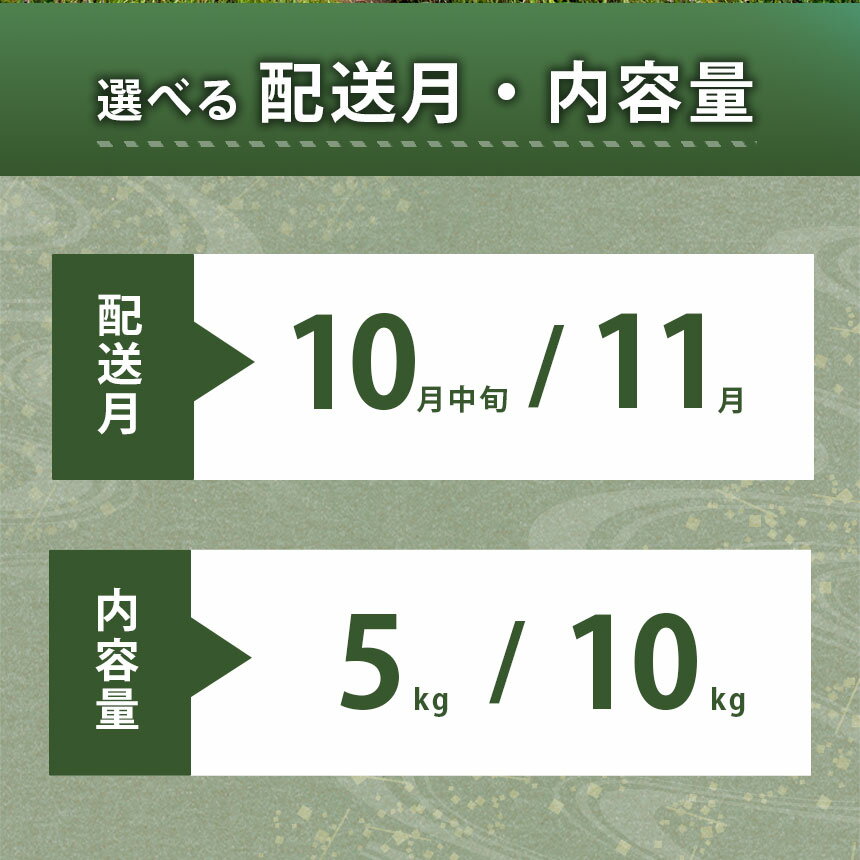 【ふるさと納税】 令和7年度産 新米 晴るる ( 白米 5kg ～ 10kg ) 先行予約 ＜ 2025年10月中旬より順次発送予定 ＞ ｜ 米 精米 新米 白米 米 雑穀 お米 コメ 単一米 晴るる はるる 山口 美祢 5kg 10kg とよたファーム