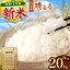 【ふるさと納税】 令和7年度産 新米 晴るる ( 白米 5kg ~ 20kg ) 先行予約 < 2025年9月中旬~12月より順次発送予定 > | 米 精米 新米 白米 米 雑穀 お米 コメ 単一米 晴るる はるる 山口 美祢 秋吉台 5kg 10kg 15kg 20kg 16,000円