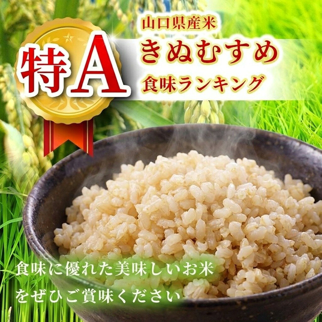ふるさと納税 米 令和8年度産 きぬむすめ ( 玄米 5kg～20kg ) 村上農園 2026年10月中旬より順次発送予定 精米 f352136-mine-10000609 山口県美祢市 サンプル画像2