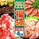 【ふるさと納税】 【 定期便 】美祢市の旬 ・ お得な福袋( 全4回 ) | 数量限定 お肉 肉 牛肉 切り落とし 牛 にく 国産 国産牛 鹿肉 ステーキ ジビエ もみじ 長州 鶏 鶏肉 もも とり 切り身 ロースト ビーフ 山口 県 美祢市 秋吉台 高原 ふるさと 納税 定期便