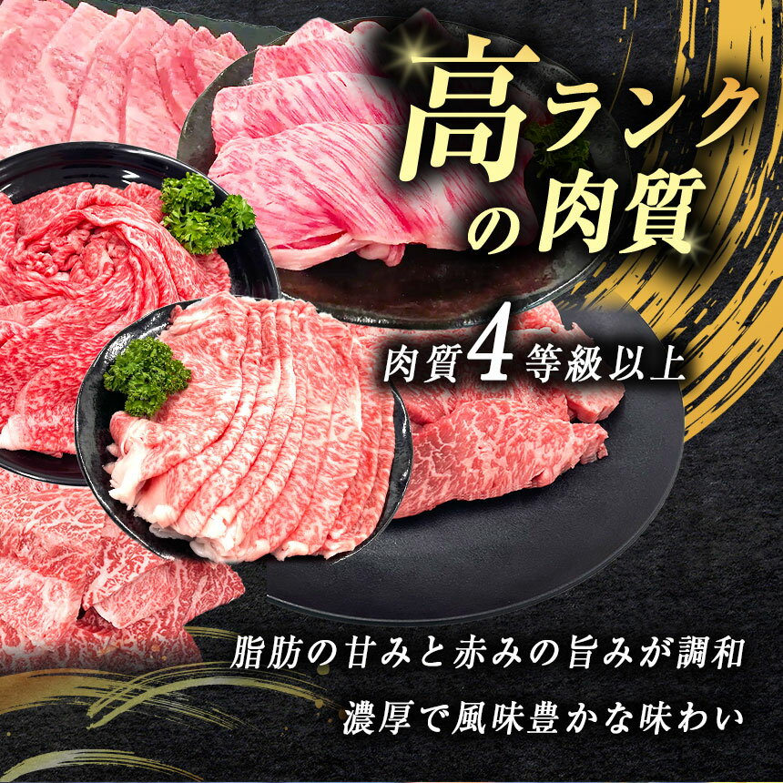 【ふるさと納税】 数量限定！選べる 極上牛肉 やまぐち和牛 燦 ( きらめき ) 肩・モモ スライス 500g ｜ 山口 県 美祢市 牛肉 ブランド牛 黒毛和牛 肩 モモ スライス 牛 肉 お肉 にく