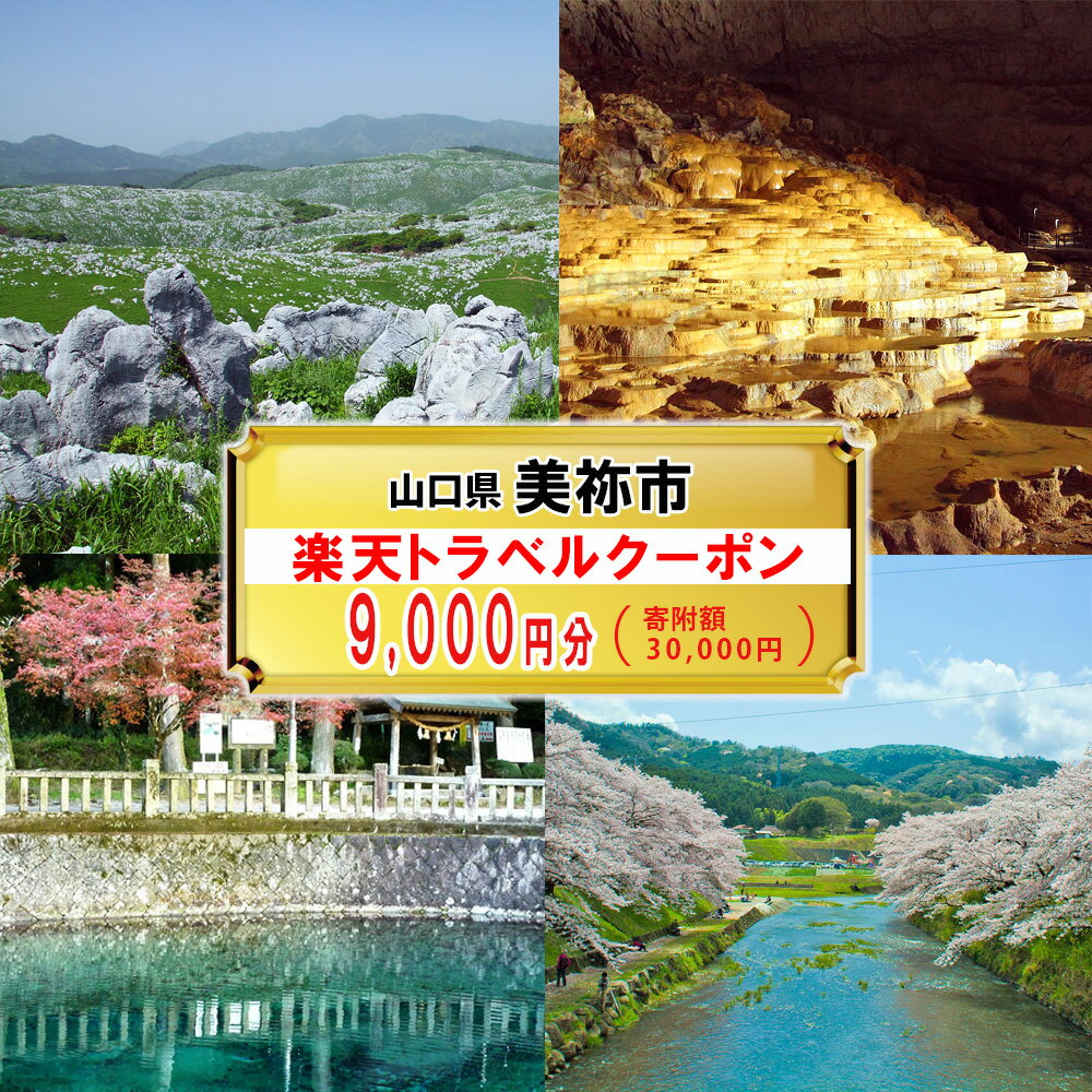 【ふるさと納税】山口県美祢市の対象施設で使える楽天トラベルクーポン 寄附額30,000円