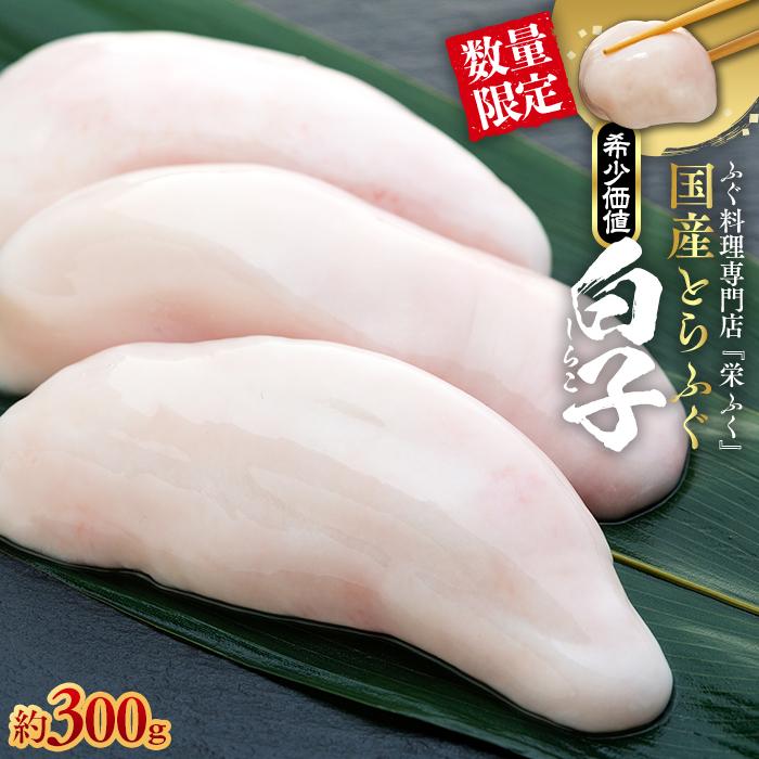 【ふるさと納税】数量限定 ふぐ料理専門店 『栄ふく』 国産 とらふぐ 希少価値 白子 約300g | 魚 お魚...