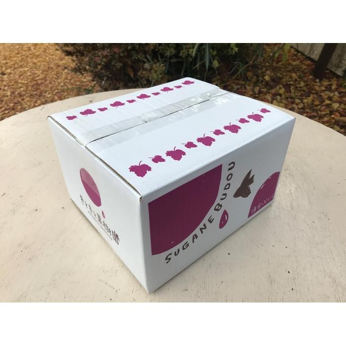 山口県周南市の画像2