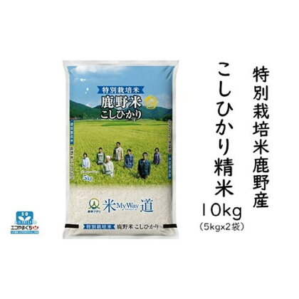 特別栽培米鹿野産こしひかり精米10kg（5kgx2袋)＊北海道・沖縄・離島への配送不可＊ | 山口県 周南市 山口 周南 支援 返礼品 返礼 お取り寄せグルメ 取り寄せ グルメ お取り寄せ お米 おこめ こめ コメ 米 こしひかり コシヒカリ 精米 10キロ 特別栽培米