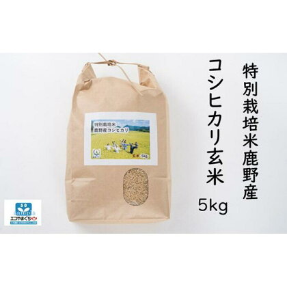 特別栽培米鹿野産コシヒカリ玄米5kg (5kgx1袋)＊北海道・沖縄・離島への配送不可＊ | 山口県 周南市 山口 周南 支援品 支援 返礼品 返礼 取り寄せ グルメ お取り寄せ お米 おこめ こめ コメ 米 こしひかり コシヒカリ 玄米 5キロ 特別栽培米