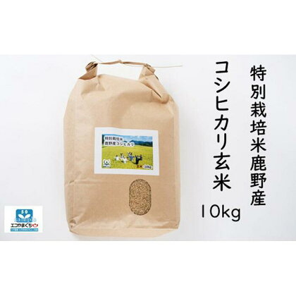 特別栽培米鹿野産コシヒカリ玄米10kg（10kgx1袋)＊北海道・沖縄・離島への配送不可＊ | 山口県 周南市 山口 周南 支援品 支援 返礼品 返礼 お取り寄せグルメ 取り寄せ グルメ お米 おこめ こめ コメ 米 こしひかり コシヒカリ 玄米 10キロ 特別栽培米