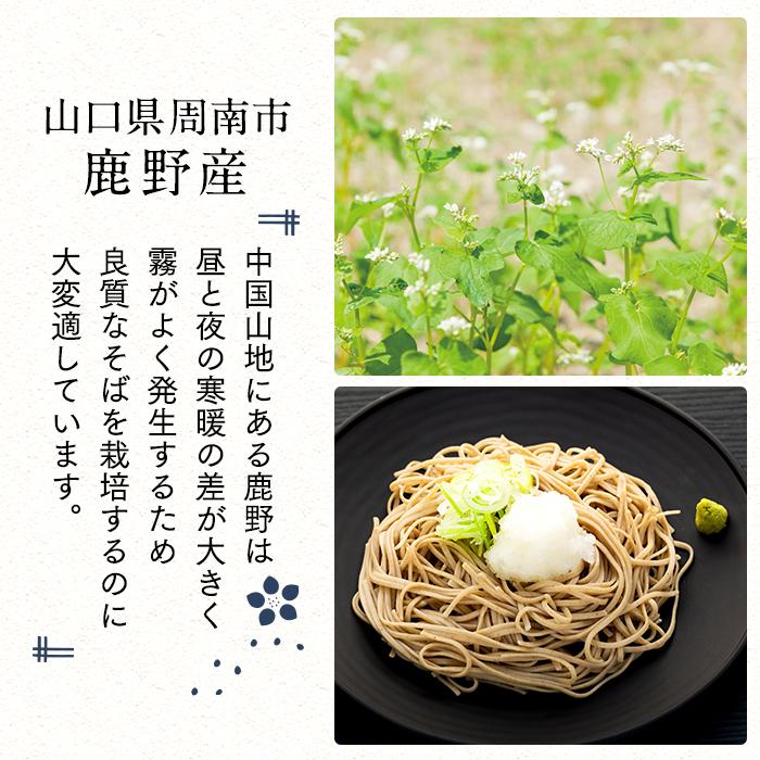 【ふるさと納税】そば 乾麺 十割そば10人前 周南市鹿野産 ( 200g × 5袋 ) | 麺 食品 加工食品 人気 おすすめ 送料無料