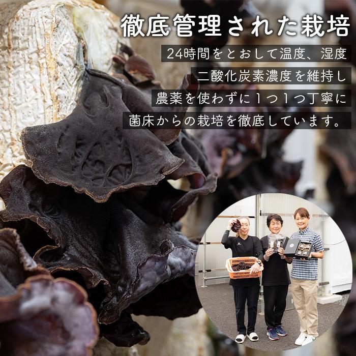 山口県周南市の画像3