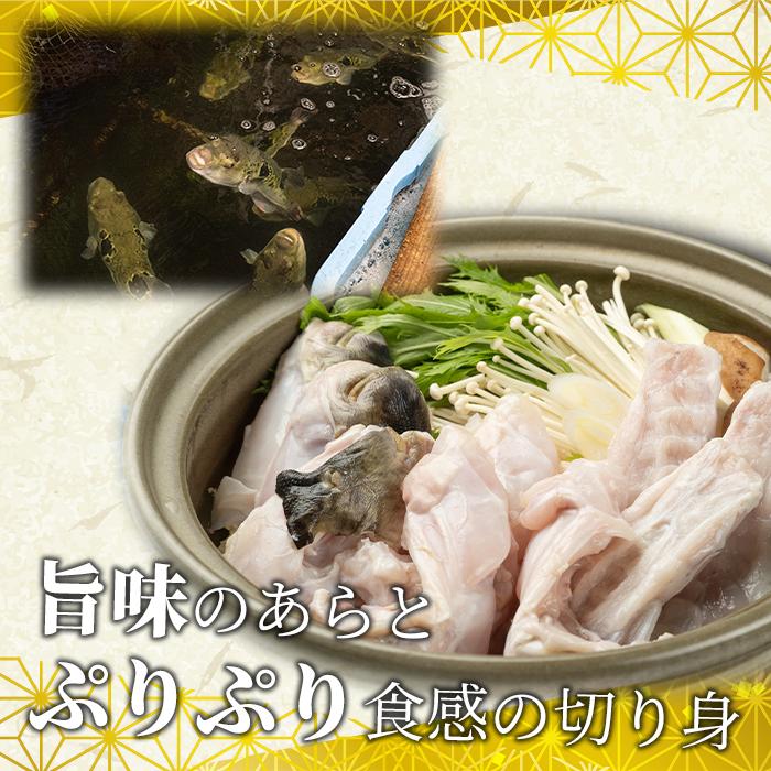 【ふるさと納税】とらふぐフルコース（4～5人前）青磁皿33cm付 | 魚 お魚 さかな 食品 人気 おすすめ 送料無料 3