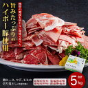 【ふるさと納税】山口県産豚切り落とし5kgセット│携帯の電波も届かない環境で育った旨みたっぷりのハイポー豚 | 肉 お肉 にく 食品 人気 おすすめ 送料無料 ...