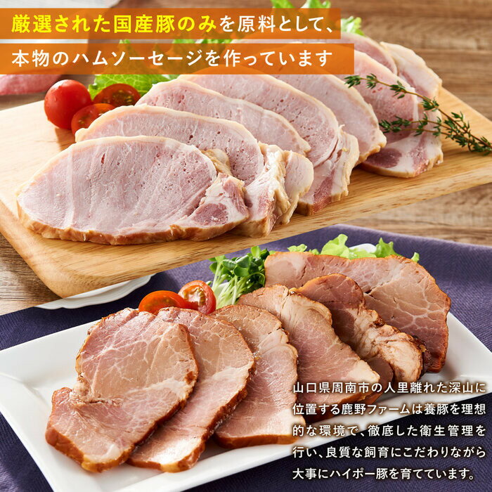 山口県周南市の画像2