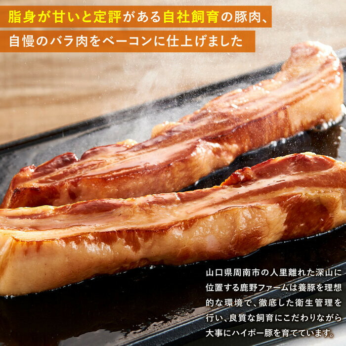 山口県周南市の画像2