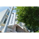 【ふるさと納税】姿勢改善パーソナルトレーニング | 券 人気 おすすめ 送料無料