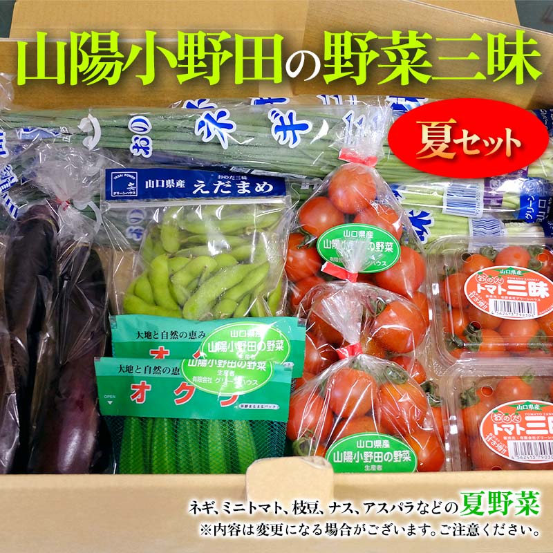 【ふるさと納税】【配送エリア：山口県・福岡県限定】山陽小野田の野菜三昧 夏セット F6L-002