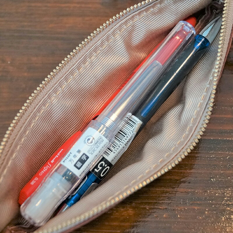 【ふるさと納税】＜色が選べる＞ 本革ミニペンケース ペンケース ミニ 本革 革製品 国産牛ヌメ革 贈り物 ギフト 国産 F6L-175var