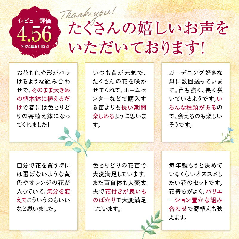 【ふるさと納税】生産農場直送！季節の花苗セット 花苗 苗 セット 寄せ植え 花壇 ガーデニング ふるさと納税 1万円 F6L-415var