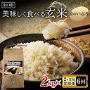 【ふるさと納税】【定期便】美味しく食べる玄米2kg（2か月毎定期便）【全6回】 F6L-636