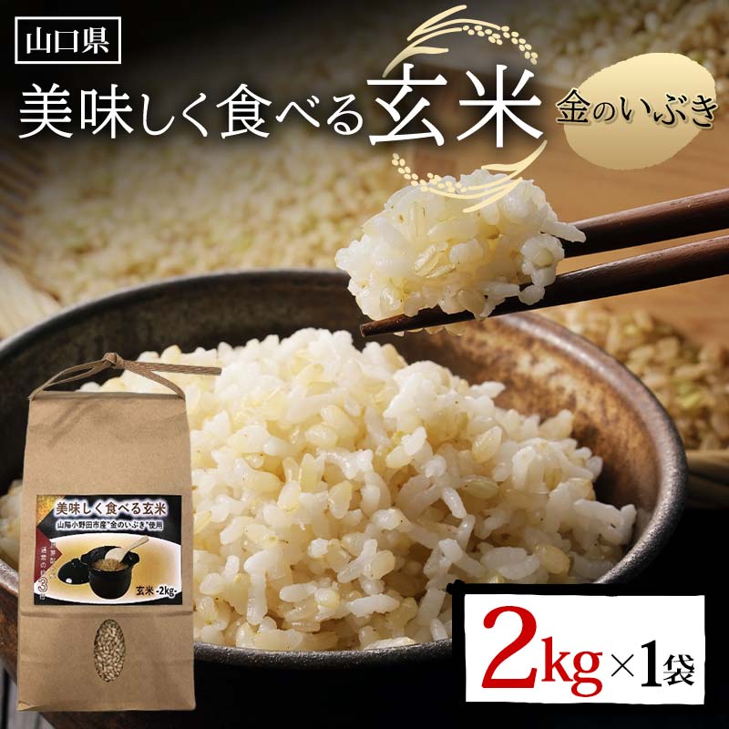 【ふるさと納税】美味しく食べる玄米2kg F6L-637