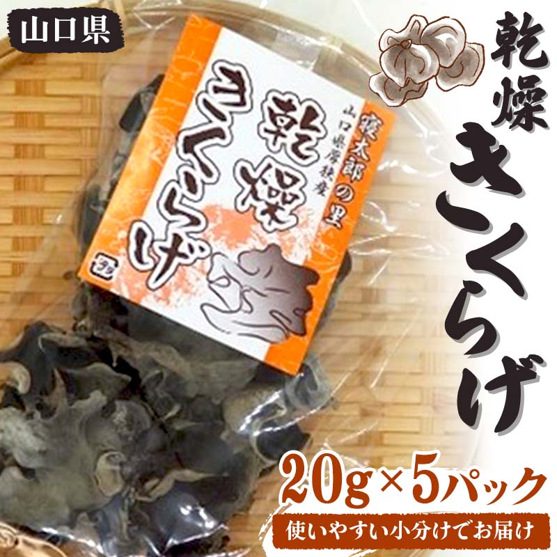 【ふるさと納税】使いやすい小分けでお届け 乾燥きくらげ 20g×5パック きくらげ 乾燥 小分け 乾物 料...