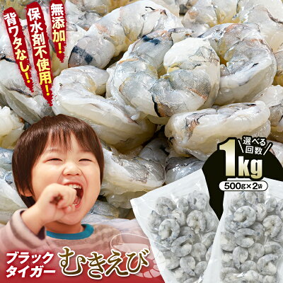 【ふるさと納税】レビューキャンペーン実施中 無添加 えび 1kg 背ワタなし 500g 冷凍庫に常備 小分け バラ凍結 ブラックタイガー むきえび 選べる回数 定期便 エビ 海老 むき身 海鮮 魚介類 保水剤不使用 下処理済み F6L-1124var - Image 1