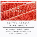 山口県山陽小野田市の画像3