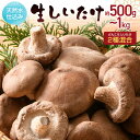 【ふるさと納税】 \選べる容量/《ひるおびでご紹介されました!》天然水仕込み生しいたけ 2種混合 約500g 約1kg 農家直送 生しいたけ シイタケ 椎茸 どんこ 混合 ミックス ご当地 グルメ 食品 1万円以下 F6L-1072var