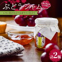 【ふるさと納税】ぶどうジャム2瓶(レモン果汁仕立て1瓶・赤ワイン仕立て1瓶)100g×2 ぶどう ジャム 加工品 食品 F6L-1147