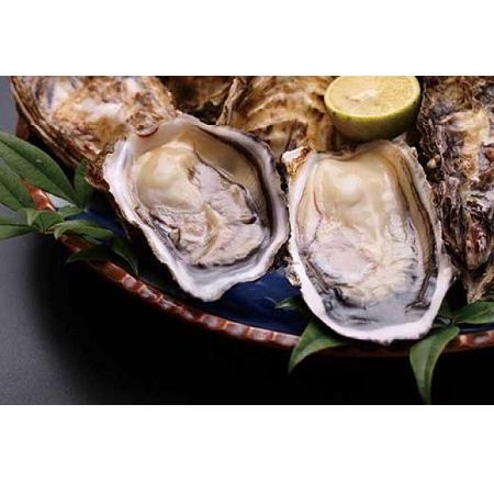 ★期間限定★[周防大島産]特大!天然!殻付き岩牡蠣 5個[先行受付開始!2025年5月12日以降のお届け]