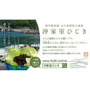 山口県周防大島町の画像2